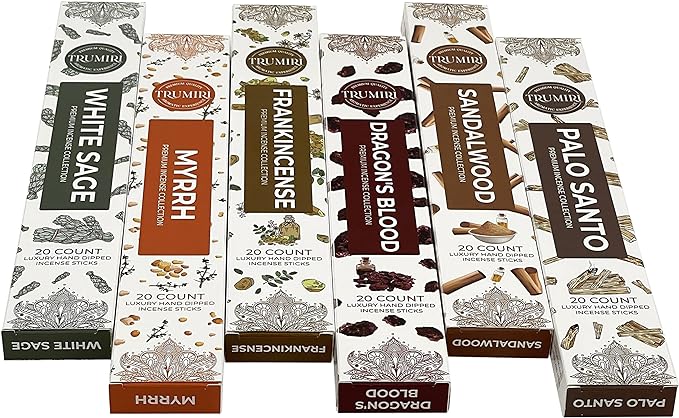 Woody Incense Sticks Variety Pack - 120 Insence-Sticks (6 Incents x 20 Insense) - White Sage Palo Santo Dragons Blood Sandalwood - Natural Inscents-Sticks Non Toxic Incienso + Incense Holder