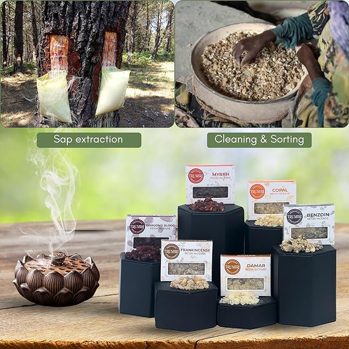 Resin Incense - Natural Tree Gum Sap - 6x30g Variety Pack Including Frankincense and Myrrh Copal Benzoin Dragon's Blood Damar