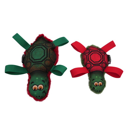 Tommy Turtle