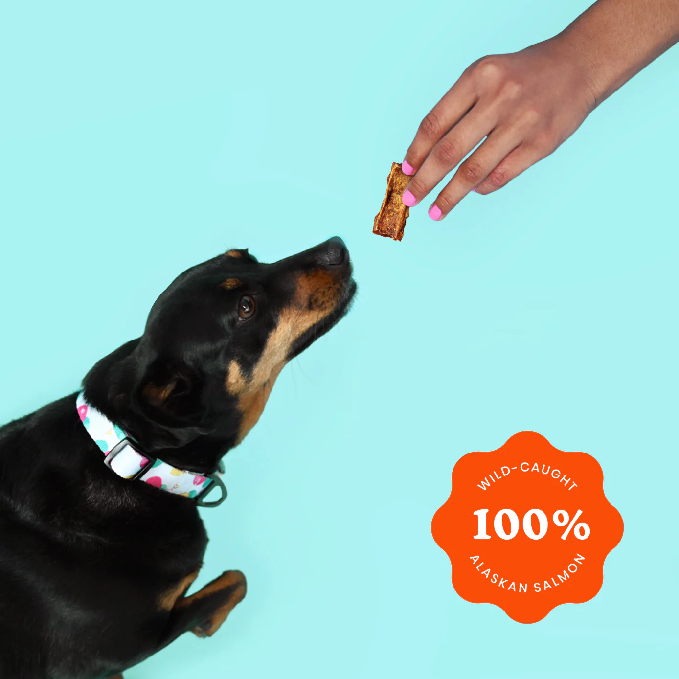 Dog Treats Ava's Pet Palace Crunchy Jerky Dog Treats - Snappin' Salmon Treats (4 oz) PCK9800 14 $ Pet Lovers Store American Pet Supplies Stew's Incense
