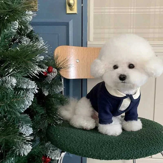 Clothes Autumn Stripe Dog Polo Cool Comfy Style 12000040127842382 20 $ Shop All Fashioned Furbabies Stew's Incense