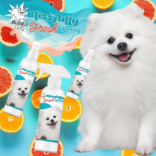 COMBO SPRAY Blissfully Fresh™ Deodorizing Spray sku-8150318415973 11 $ Pet Lovers Store The Blissful Dog Stew's Incense