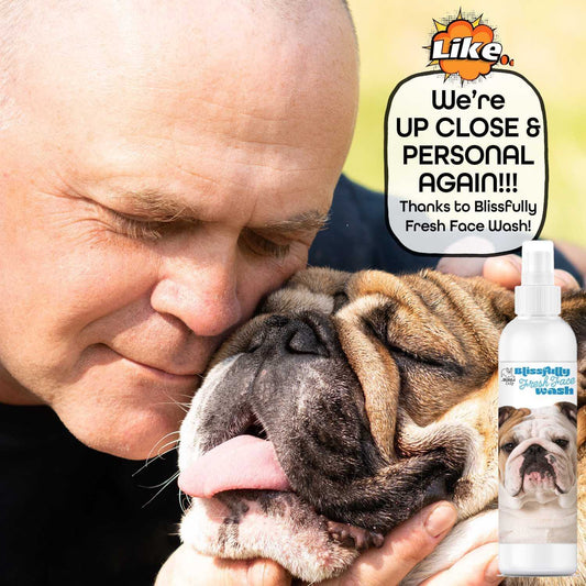 FACE WASH Bulldog Blissfully Fresh™ Face Wash sku-42752414548211 11 $ Pet Lovers Store The Blissful Dog Stew's Incense
