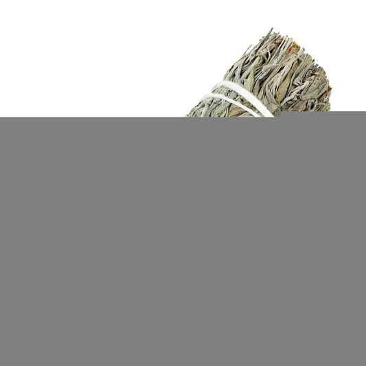smudge sticks Blue Sage Smudge Stick 3-4" BSW5 4 $ The Witches Sage LLC Stew's Incense