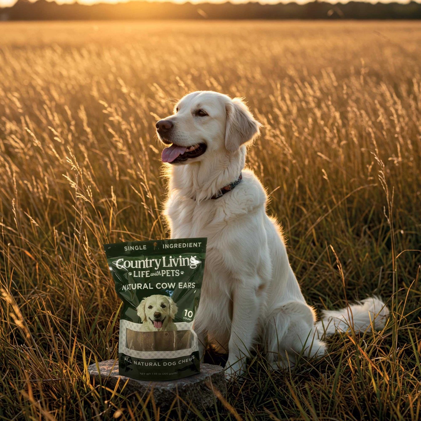 Dog Treats Country Living Natural Cow Ears Dog Chews – 10 Count Bag – All-Natural, Single-Ingredient, Long-Lasting Dog Chews – High-Protein, Low-Fat, Rawhide-Free – Supports Dental Health CL-PCK181-10PK 19 $ Pet Lovers Store American Pet Supplies Stew's Incense