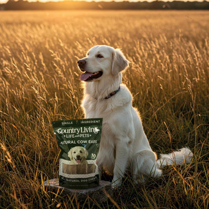 Dog Treats Country Living Natural Cow Ears Dog Chews – 10 Count Bag – All-Natural, Single-Ingredient, Long-Lasting Dog Chews – High-Protein, Low-Fat, Rawhide-Free – Supports Dental Health CL-PCK181-10PK 19 $ Pet Lovers Store American Pet Supplies Stew's Incense
