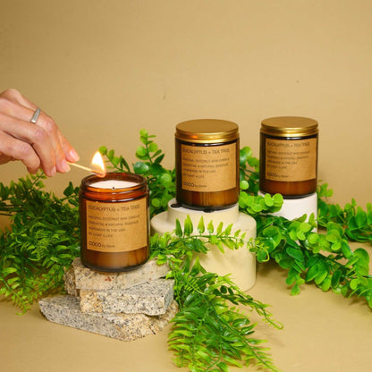 COCO Self Care - Candles 7.2oz Eucalyptus + Tea Tree Natural Coconut Apricot Wax Candle CN7EUC 27 $ Shop All Stone Candles Stew's Incense