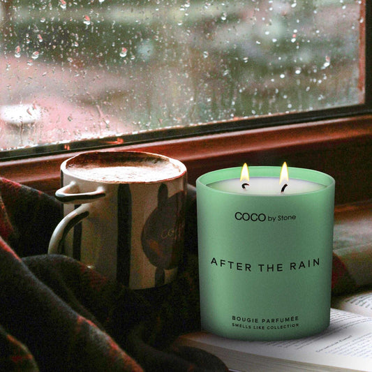 Smells Like Candle 15oz Smells Like After The Rain Candle GLM15-3-2023 38 $ Candles Stone Candles Stew's Incense