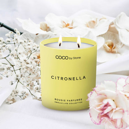 Smells Like Candle 11oz Smells Like Citronella Candle CS11CIT-2023 32 $ Candles Stone Candles Stew's Incense