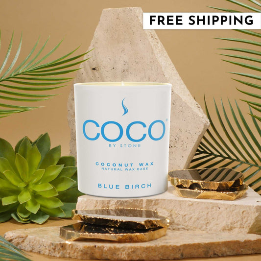 COCO Candle Blue Birch Natural Coconut Apricot Wax Candle COCO6BB 24 $ Stone Candles Stew's Incense