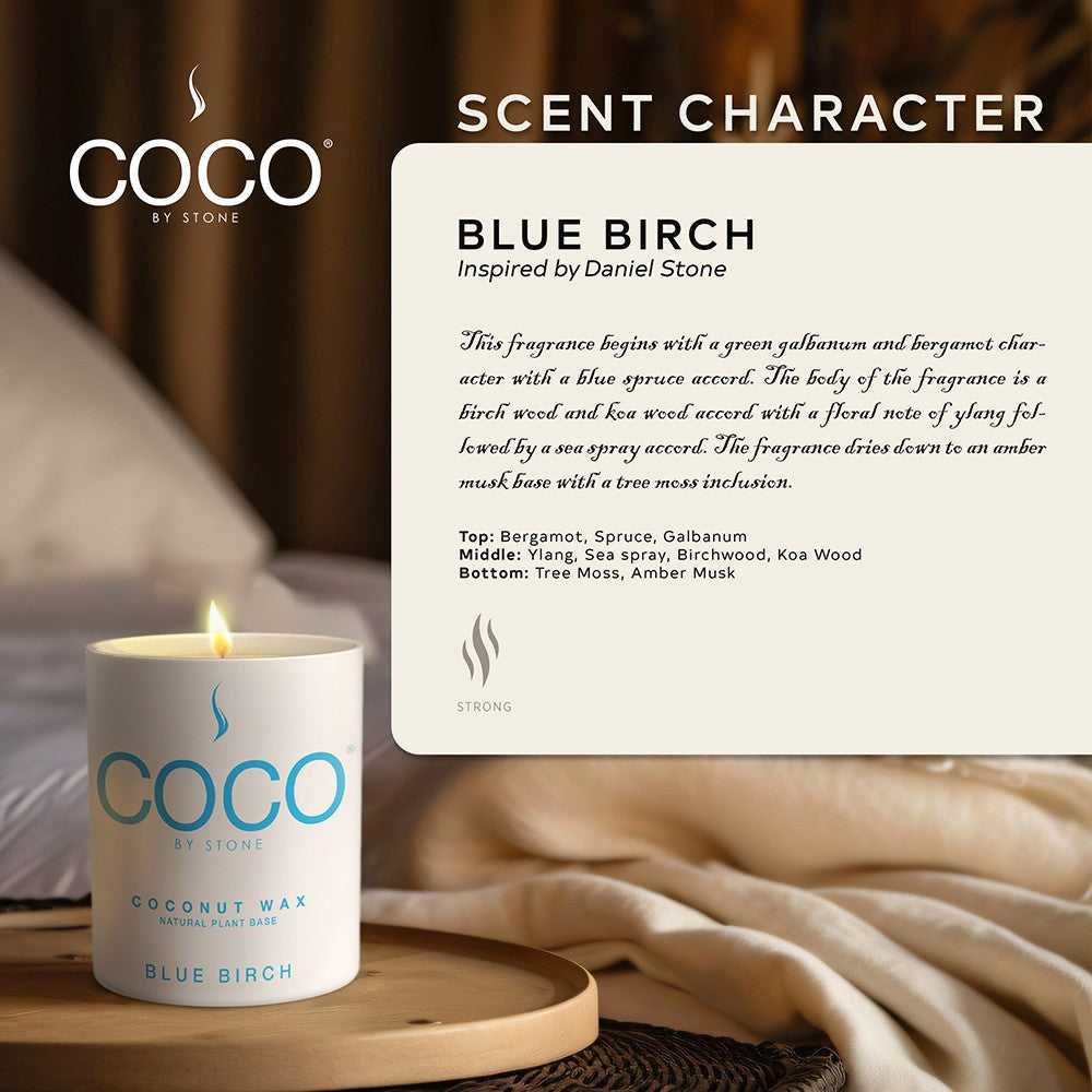 COCO Candle Blue Birch Natural Coconut Apricot Wax Candle COCO6BB 24 $ Stone Candles Stew's Incense