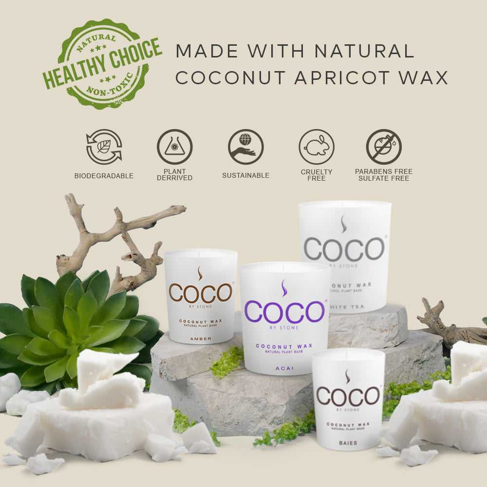 COCO Candle Blue Birch Natural Coconut Apricot Wax Candle COCO6BB 24 $ Stone Candles Stew's Incense