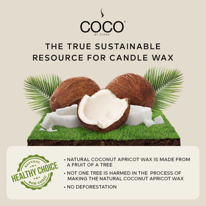 COCO Candle Blue Birch Natural Coconut Apricot Wax Candle COCO6BB 24 $ Stone Candles Stew's Incense