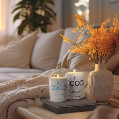 COCO Candle Blue Birch Natural Coconut Apricot Wax Candle COCO6BB 24 $ Stone Candles Stew's Incense
