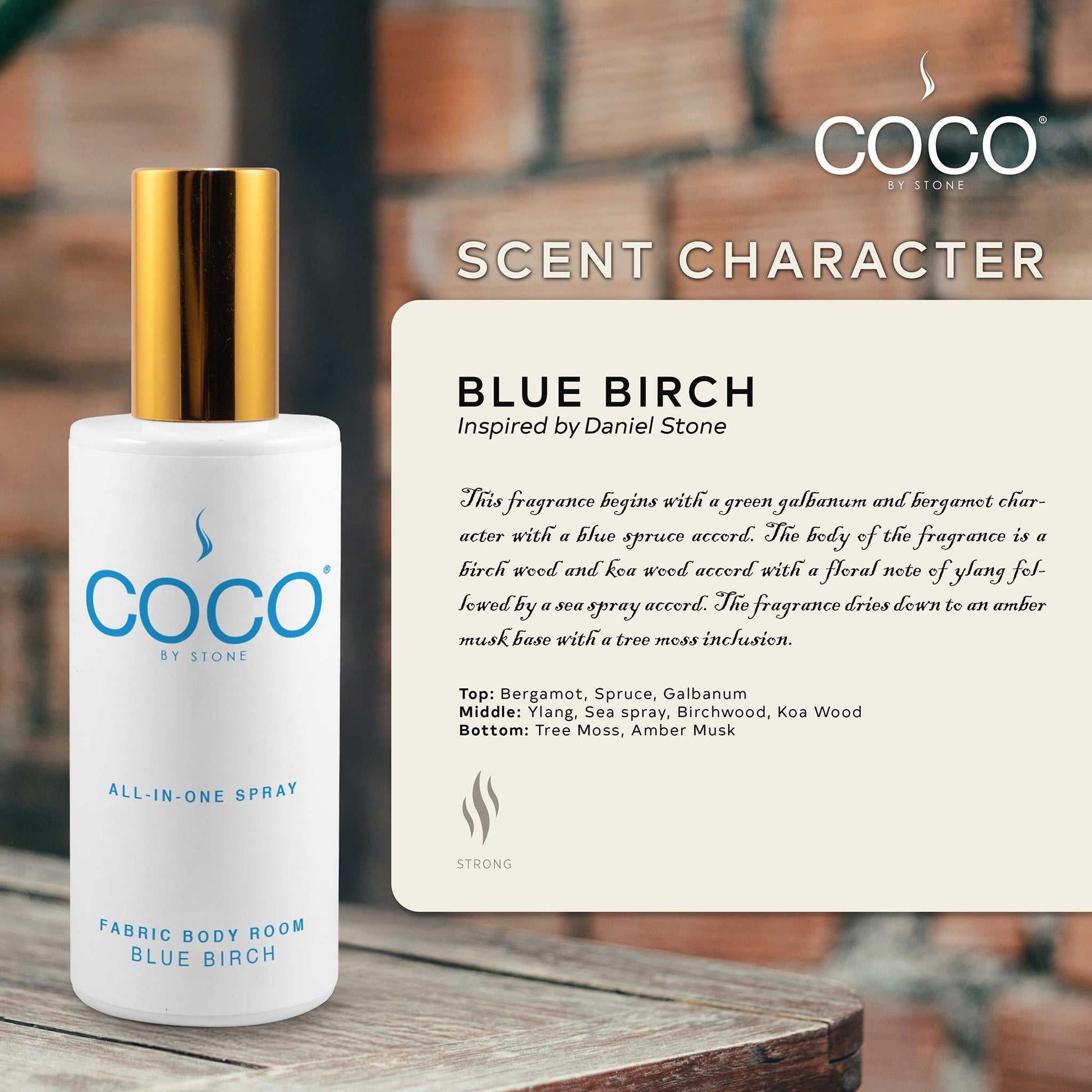 COCO All-in-One Spray 5oz Blue Birch All-In-One Spray CRS5BB 20 $ Room Sprays Stone Candles Stew's Incense