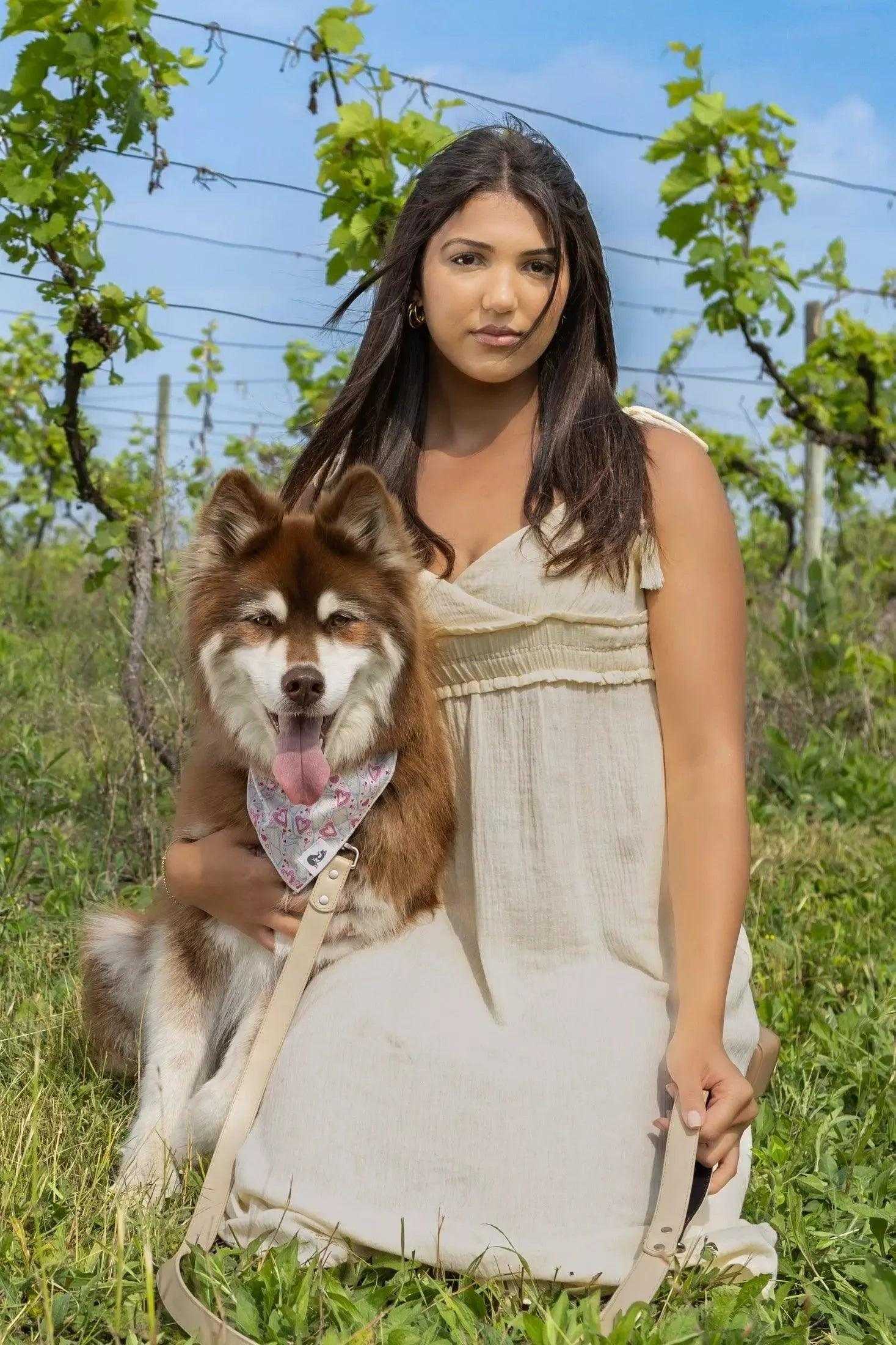Collar Champagne Fizz Vegan Leather Dog Collar VC24CH01 29 $ Shop All Aria the Fox Stew's Incense