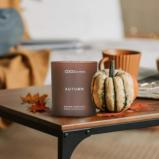 Smells Like Candle 15oz Smells Like Autumn Candle GLT15-1-2023 38 $ Candles Stone Candles Stew's Incense