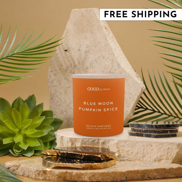 Smells Like Candle 11oz Smells Like Blue Moon Pumpkin Spice Candle GLT11-2-2023 32 $ Candles Stone Candles Stew's Incense