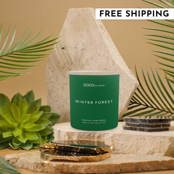 Smells Like Candle 11oz Smells Like Winter Forest Candle GLC11-2-2023 32 $ Candles Stone Candles Stew's Incense