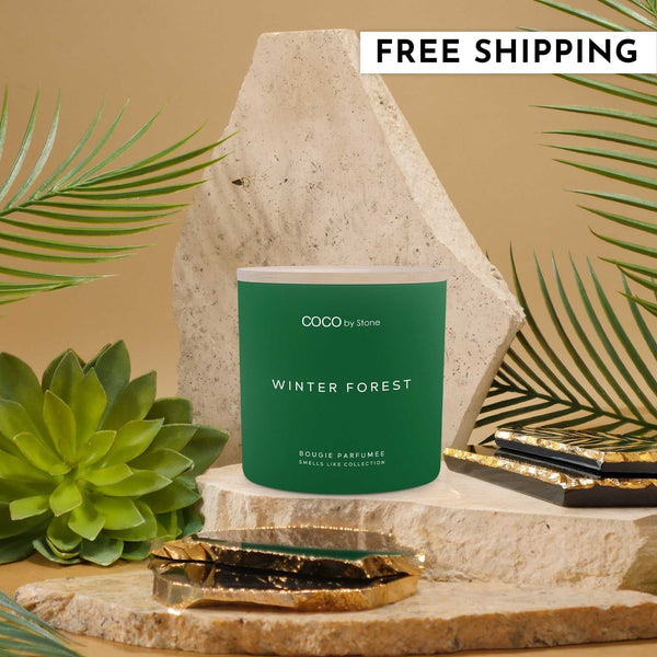 Smells Like Candle 15oz Smells Like Winter Forest Candle GLC15-2-2023 38 $ Candles Stone Candles Stew's Incense