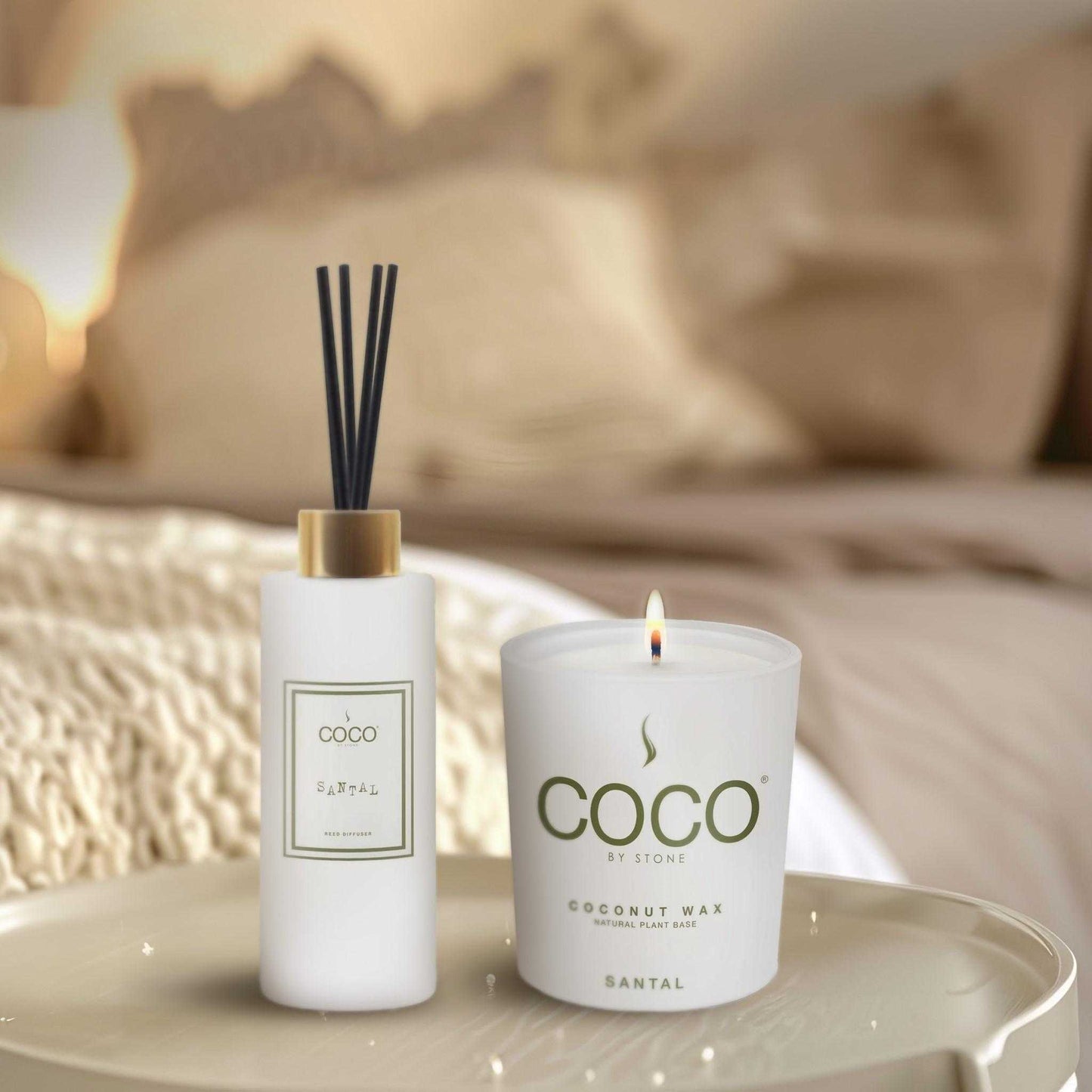 COCO Candle Santal Natural Coconut Apricot Wax Candle COCO6SA 24 $ Candles Stone Candles Stew's Incense