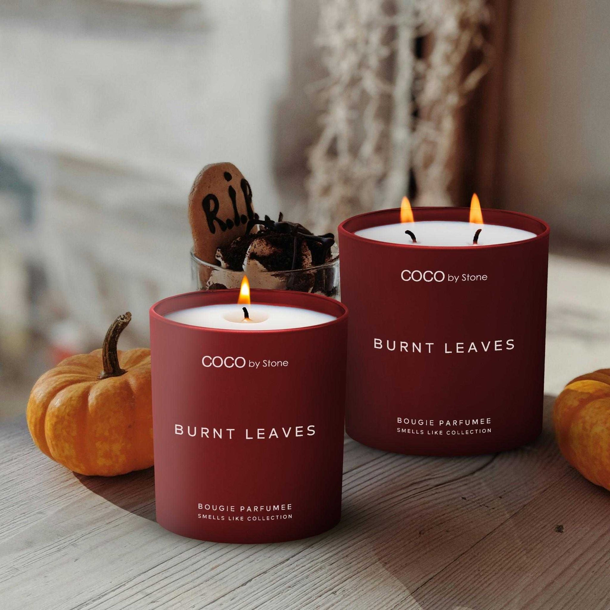 Smells Like Candle 11oz Smells Like Burnt Leaves Candle GLT11-3-2023 32 $ Shop All Stone Candles Stew's Incense