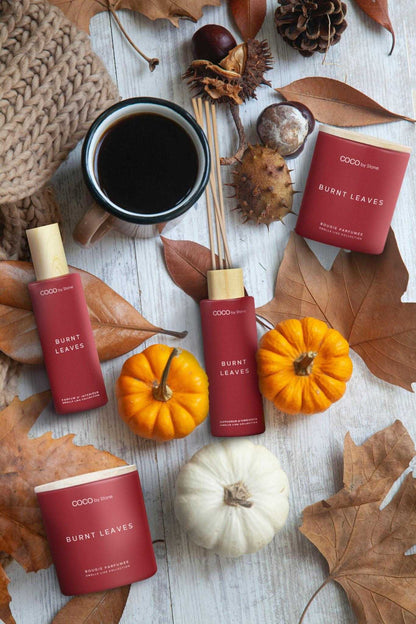 Smells Like Room spray 5oz Smells Like Burning Leaves Room Spray CRSSL5-BUR 24 $ Lava Rock Diffusers Stone Candles Stew's Incense