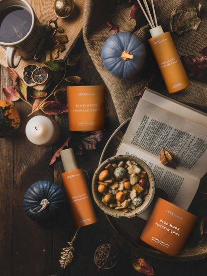 Smells Like Room spray 5oz Smells Like Pumpkin Spice Room Spray CRSSL5-PUM 24 $ Room Sprays Stone Candles Stew's Incense