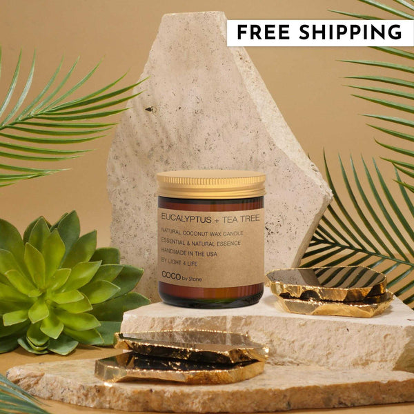 COCO Self Care - Candles 3.5oz Eucalyptus + Tea Tree Natural Coconut Apricot Wax Candle CN3EUC 22 $ Shop All Stone Candles Stew's Incense