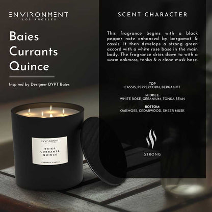 Environment - Candle 55oz Baies | Currants | Quince Candle (Inspired by Diptyque Baies®) EN-CAN55-BAISEDIP 139 $ Candles Stone Candles Stew's Incense