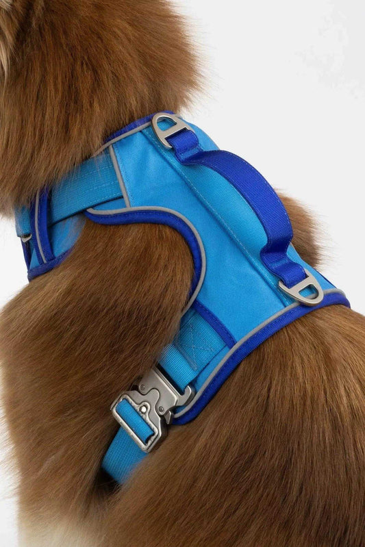 Harness Dockside Adventures Ultimate Harness HA24DA01 49 $ Shop All Aria the Fox Stew's Incense