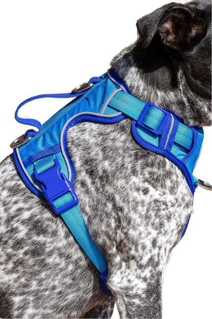 Harness Dockside Adventures Ultimate Harness HA24DA01 49 $ Shop All Aria the Fox Stew's Incense
