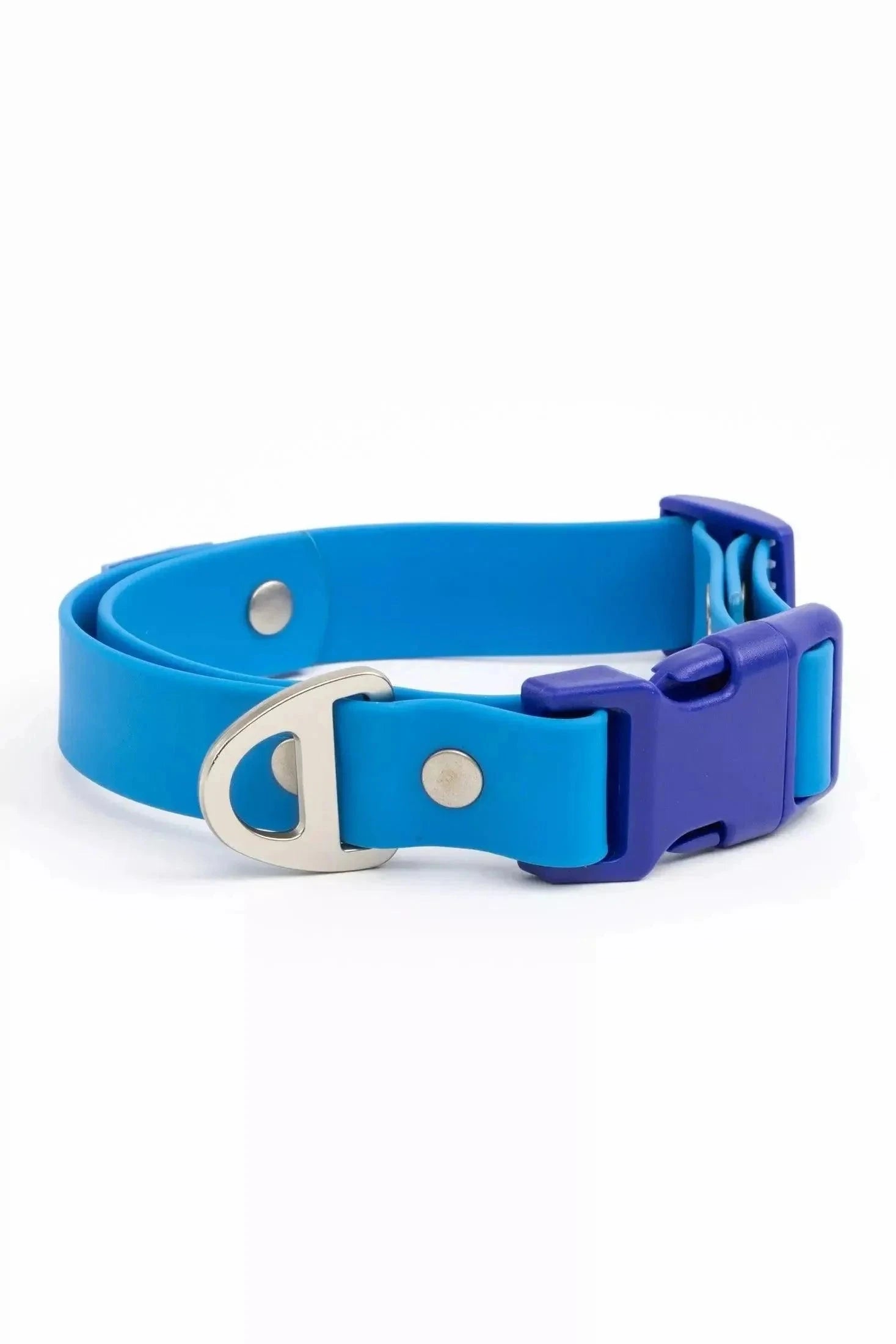 Collar Dockside Adventures Waterproof Dog Collar CO24DA01 29 $ Shop All Aria the Fox Stew's Incense