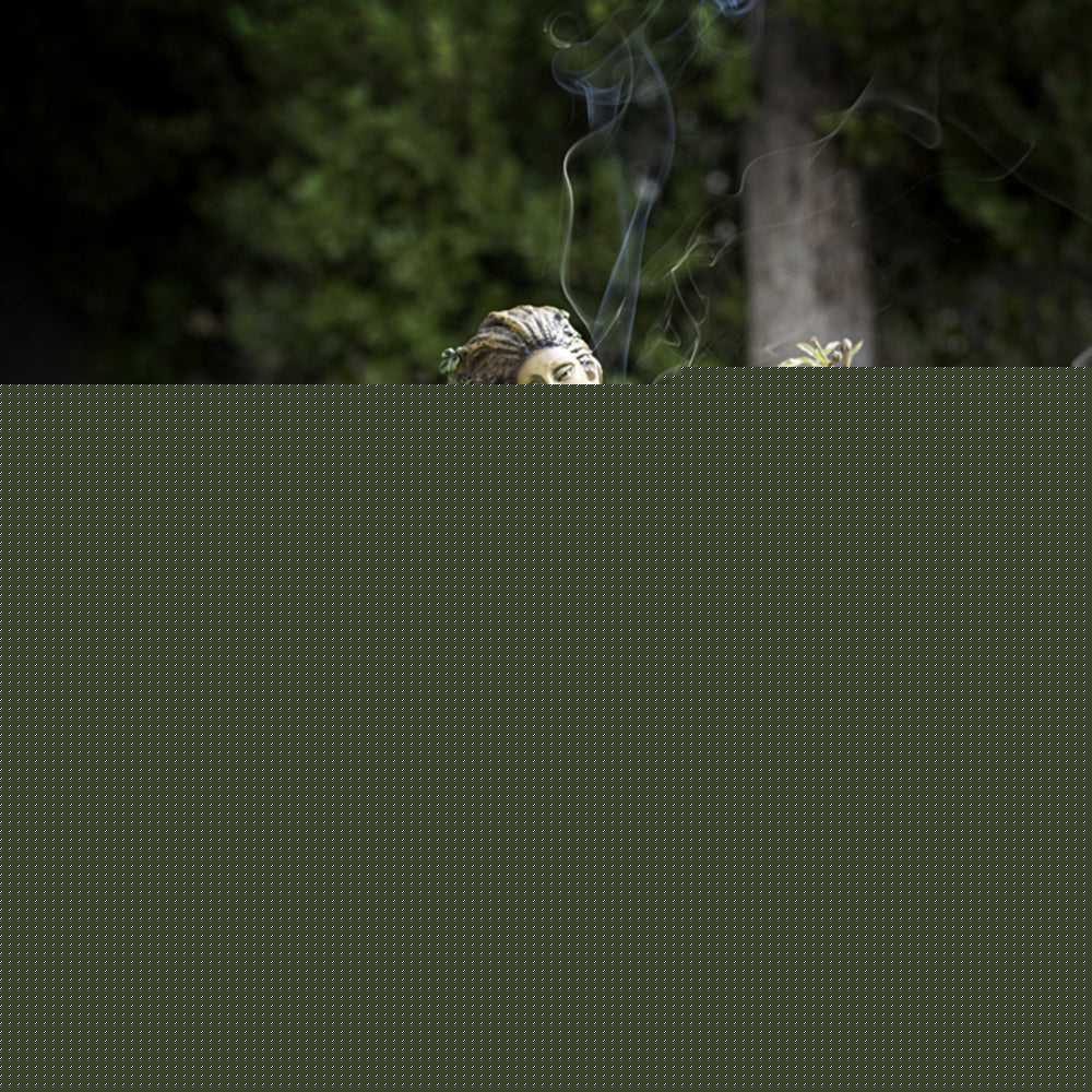 Incense Burner Sitting Forest ENT Backflow Incense Burner 14361 24 $ Shop All The Witches Sage LLC Stew's Incense