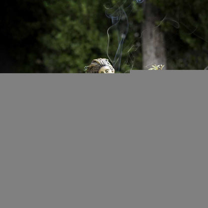 Incense Burner Sitting Forest ENT Backflow Incense Burner 14361 24 $ Shop All The Witches Sage LLC Stew's Incense