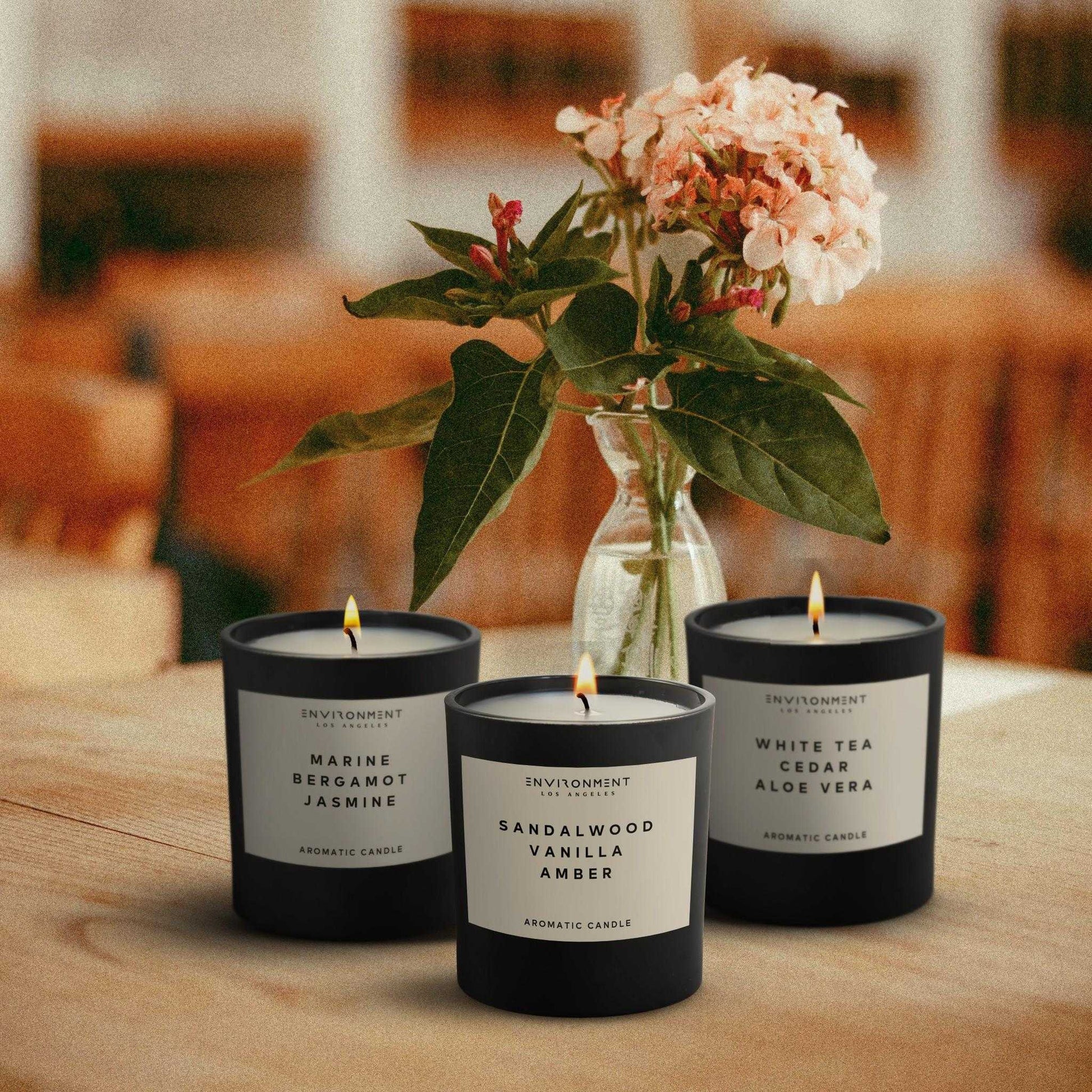 Environment - Candle (Hotel Aromatics) 8oz Sandalwood | Vanilla | Amber Candle with Lid and Box (Inspired by Hotel Costes®) EN-CAN8-HOTELCOS 48 $ Candles Stone Candles Stew's Incense