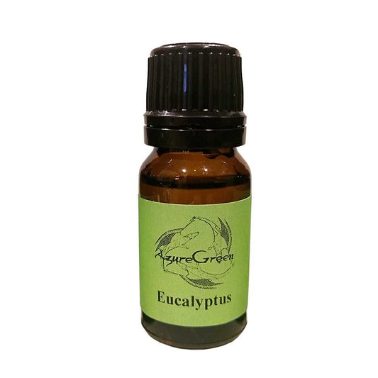 essential oil AzureGreen Essential Oils: Eucalyptus - 2 dram OEUCE 6 $ Shop All The Witches Sage LLC Stew's Incense