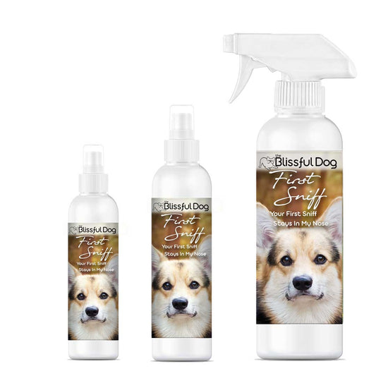 Cologne First Sniff Dog Cologne - Your First Sniff Stays on My Mind sku-12192587120741 11 $ Pet Lovers Store The Blissful Dog Stew's Incense