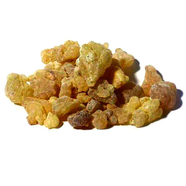 Incense Frankincense Tears Resin 1oz IG16FRAT (4301) 1 $ Shop All The Witches Sage LLC Stew's Incense