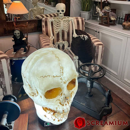Halloween Giant Skull Animatronic Lamp Prop 20-Inch-Tall Heavy Duty Polyresin Halloween Decoration SCREAMIUM-MPN-10003 179 $ Shop All SCREAMIUM Stew's Incense