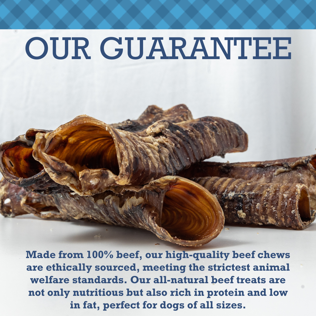 Dog Treats Country Living All-Natural Beef Trachea Dog Treats, Protein-Packed Chews – 6 Inches (5-Pack) PCK138-5P 15 $ Pet Lovers Store American Pet Supplies Stew's Incense