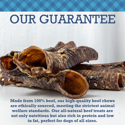 Dog Treats Country Living All-Natural Beef Trachea Dog Treats, Protein-Packed Chews – 6 Inches (5-Pack) PCK138-5P 15 $ Pet Lovers Store American Pet Supplies Stew's Incense