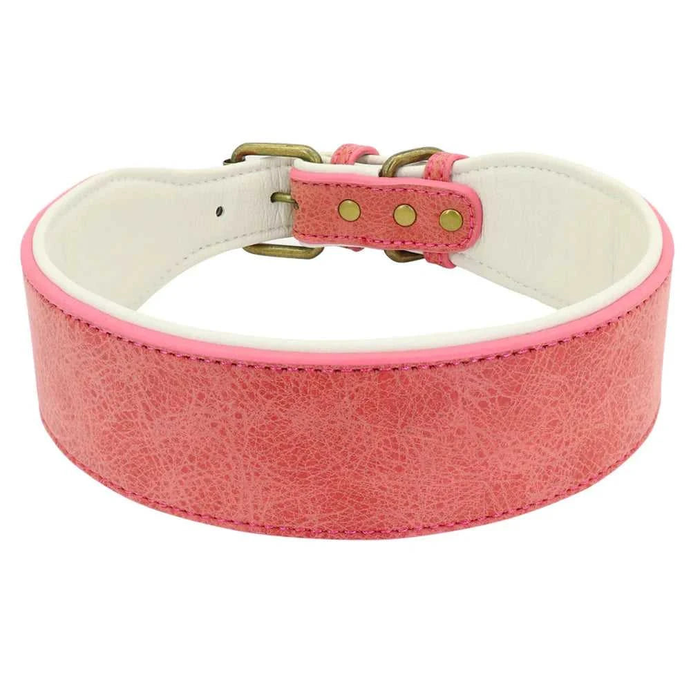 Large collar The Wide Luxe Collar - Padded Leather for Large Dogs 4000711904638-black-XL 37 $ Pet Lovers Shop All Products Fashioned Furbabies Stew's Incense