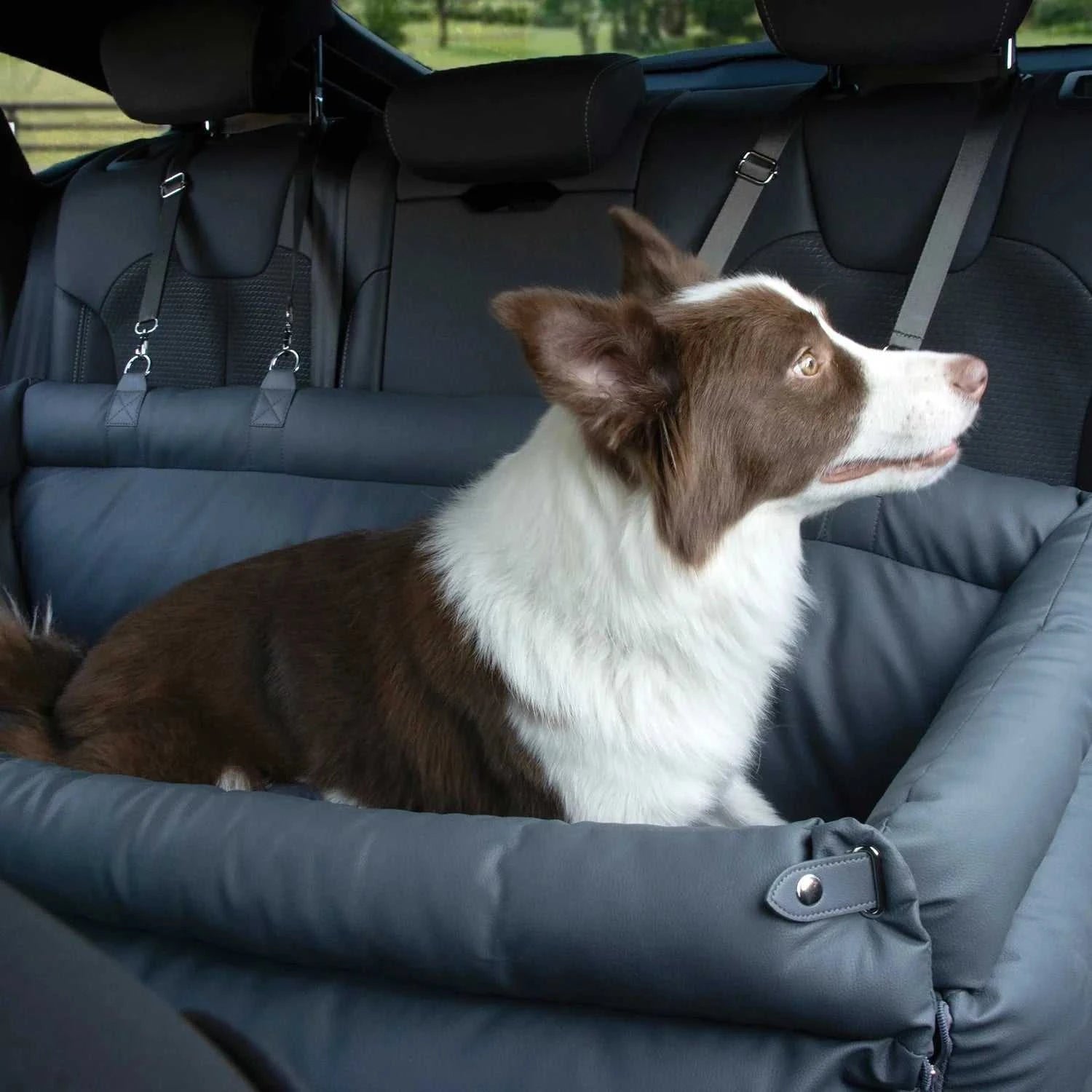 Car seat The Milano Double Car Seat Bed - Luxury Pet Travel 1601259834884-S:95*42*45cm-Green 120 $ Pet Lovers Shop All Products Fashioned Furbabies Stew's Incense