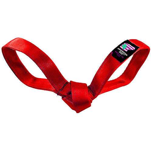 Dog Toys LUCKY DOG $7 Love Bird Seatbelt Tug sku-45851507589379 7 $ Pet Lovers Store American Dog Stew's Incense
