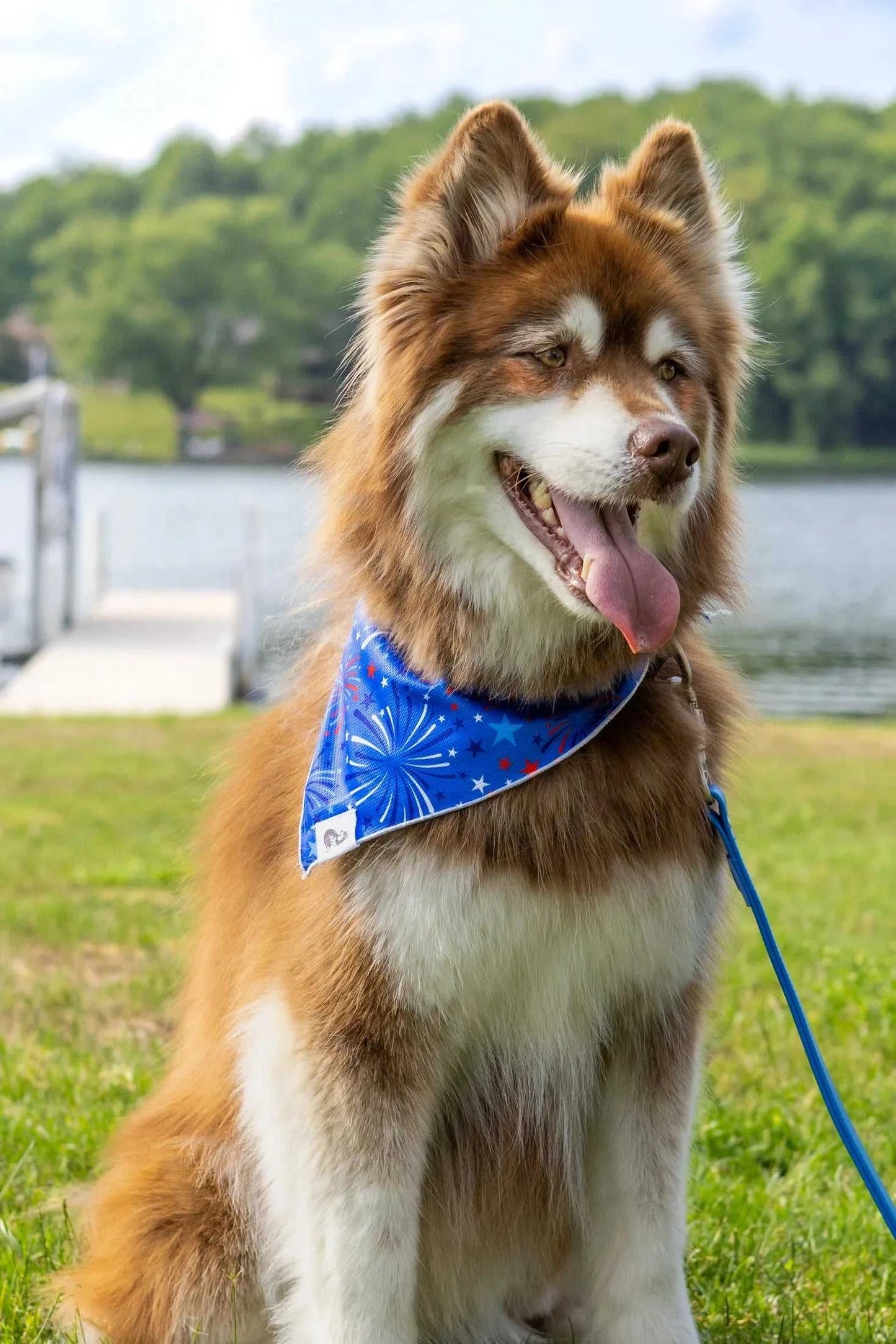 bandana Patriotic Dog Bandana BD24PD01 14 $ Shop All Aria the Fox Stew's Incense