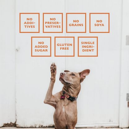 Dog Chews BAFFS NATURALS All-Natural Premium Lamb Pizzle Dog Chews – (8oz Bag) PCK6001-8OZ 25 $ Shop All American Pet Supplies Stew's Incense