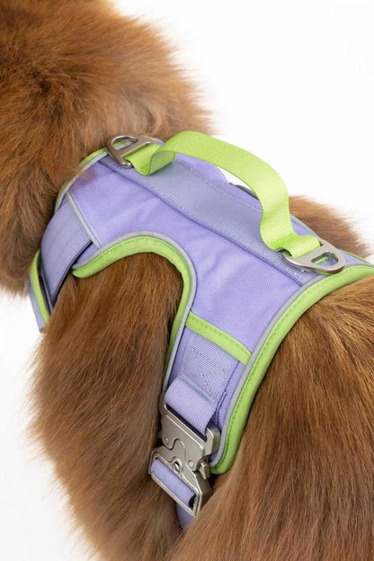 Harness Lavender Garden Ultimate Dog Harness HA24LG01 49 $ Shop All Aria the Fox Stew's Incense