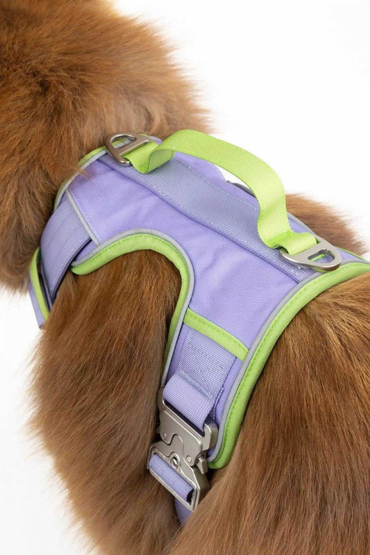 Harness Lavender Garden Ultimate Dog Harness HA24LG01 49 $ Shop All Aria the Fox Stew's Incense