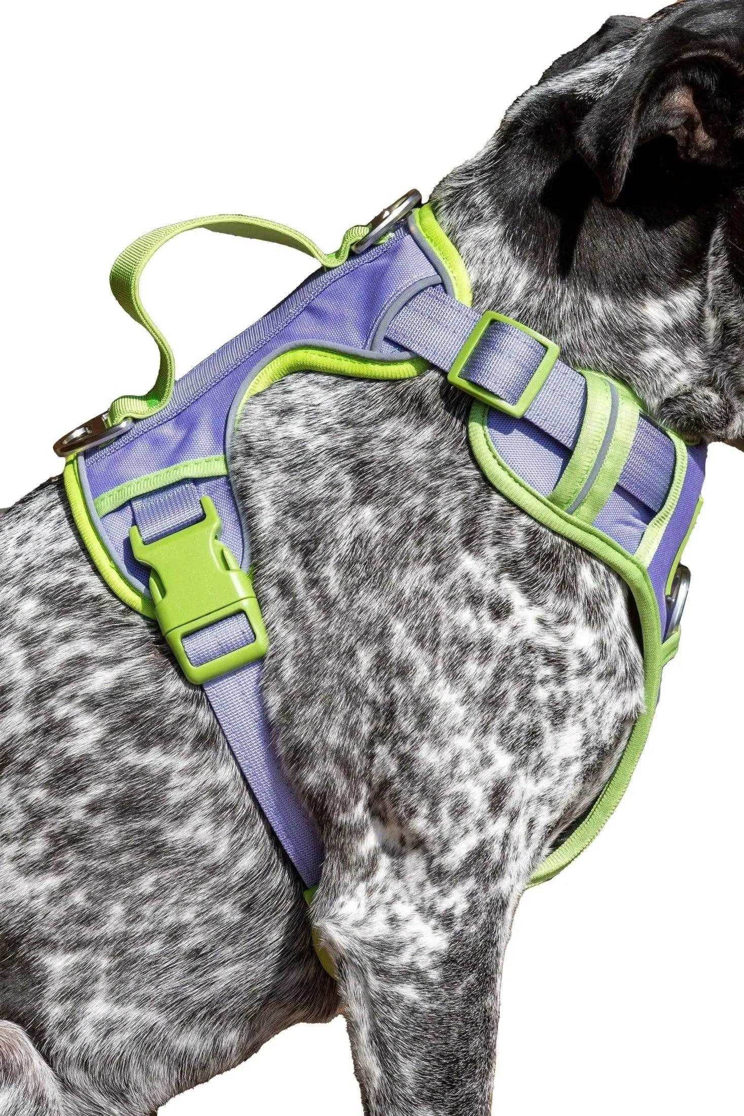 Harness Lavender Garden Ultimate Dog Harness HA24LG01 49 $ Shop All Aria the Fox Stew's Incense